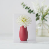 Carte Postale Flowers | White Dahlia in Red Vase (Debout devant)