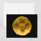 Carte Postale Flowers | Yellow Poppy (Devant / Derrière)