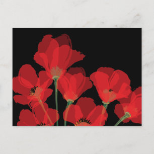 Carte Postale Flueurs de Pavot Rouge sur Noir