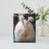 Carte Postale Fluffy Angora Bunny (Debout devant)