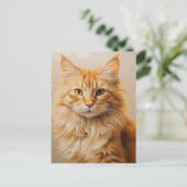 Carte Postale Fluffy Ginger Cat (Debout devant)