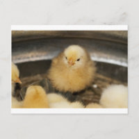 Fluffy Jaune bébé poussette