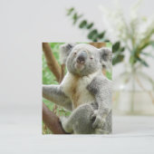 Carte postale Fluffy Koala (Debout devant)