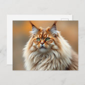 Carte Postale Fluffy Norwegian Forest Portrait de chat (Devant / Derrière)