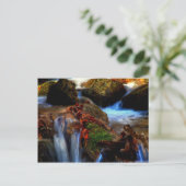 Carte Postale fluide et volatile (Debout devant)