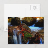 Carte Postale fluide et volatile (Devant / Derrière)