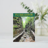 Carte postale Flume Gorge NH (Debout devant)