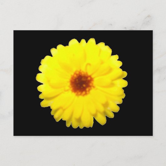 Carte postale Fluorescent Marigold (Devant)