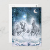 Carte Postale Flurry sauvage (Devant / Derrière)