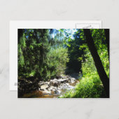 Carte Postale Flux (Devant / Derrière)