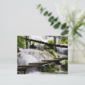 Carte Postale Flux (Debout devant)