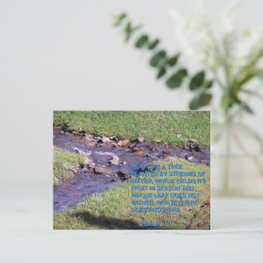 CARTE POSTALE FLUX (Debout devant)