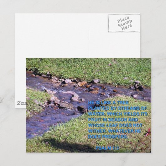 CARTE POSTALE FLUX (Devant / Derrière)