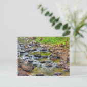 Carte Postale Flux apaisant (Debout devant)