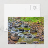 Carte Postale Flux apaisant (Devant / Derrière)