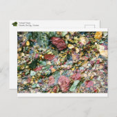 Carte Postale Flux coloré (Devant / Derrière)