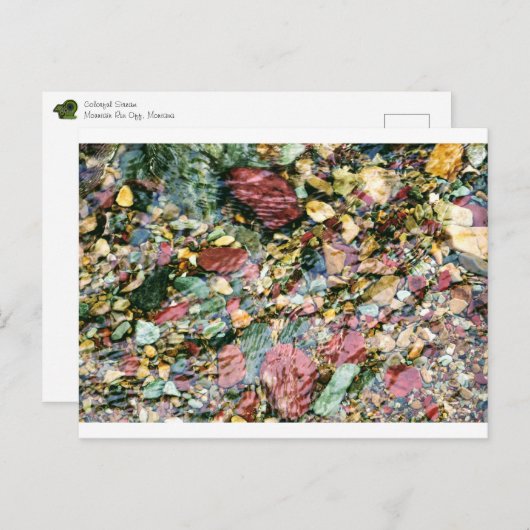 Carte Postale Flux coloré (Devant / Derrière)