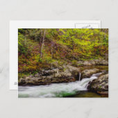 Carte Postale Flux De Forêts Dans Les Grandes Montagnes Fumées (Devant / Derrière)