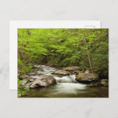 Carte Postale Flux De Fourche Droite À Travers La Forêt (Devant / Derrière)
