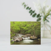 Carte Postale Flux De Fourche Droite À Travers La Forêt (Debout devant)