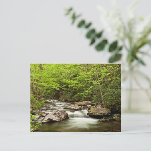 Carte Postale Flux De Fourche Droite À Travers La Forêt (Debout devant)