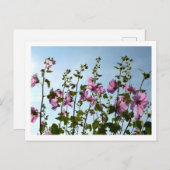 Carte Postale Flux de trames arborescentes (Devant / Derrière)