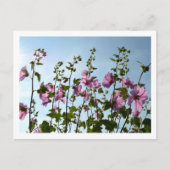 Carte Postale Flux de trames arborescentes (Devant)