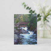 Carte Postale Flux Du Pont (Debout devant)