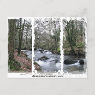 Carte Postale Flux en bois