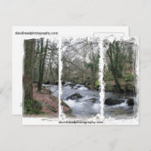 Carte Postale Flux en bois (Devant / Derrière)