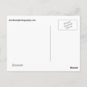 Carte Postale Flux en bois (Dos)