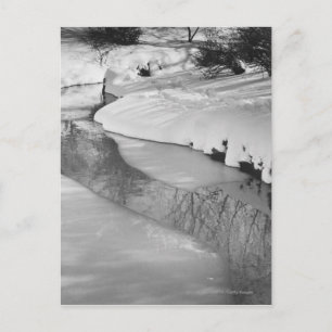 Carte Postale Flux en hiver B&W