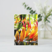 Carte Postale Flux Flexible Nouvelle-Zélande (Debout devant)