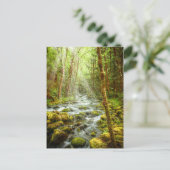 Carte Postale Flux forestier de l'Imaginaire de l'Oregon (Debout devant)