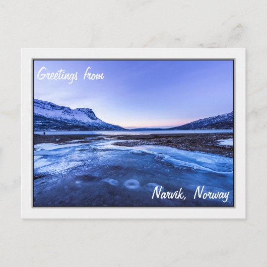 Carte Postale Flux gelé sur les rivages Narvik (Devant)