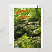 Carte Postale Flux isolé (Devant / Derrière)