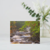 Carte Postale Flux le long du sentier des Appalaches (Debout devant)