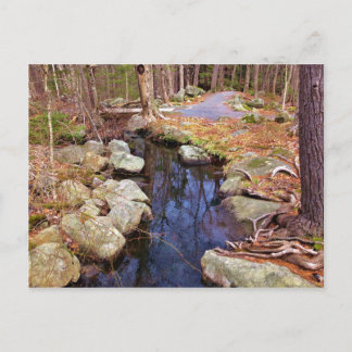 Carte Postale Flux naturel