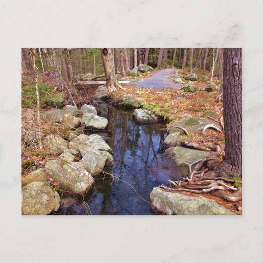 Carte Postale Flux naturel (Devant)