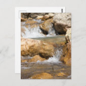 Carte Postale Flux orageux au printemps (Devant / Derrière)