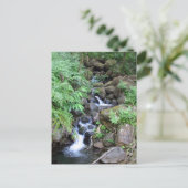 Carte Postale Flux tropical hawaïen (Debout devant)