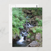 Carte Postale Flux tropical hawaïen (Devant / Derrière)