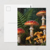 Carte Postale Fly Agaric Mushrooms Forest Botanical (Devant / Derrière)