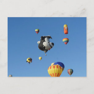 Carte Postale Flying Skunk