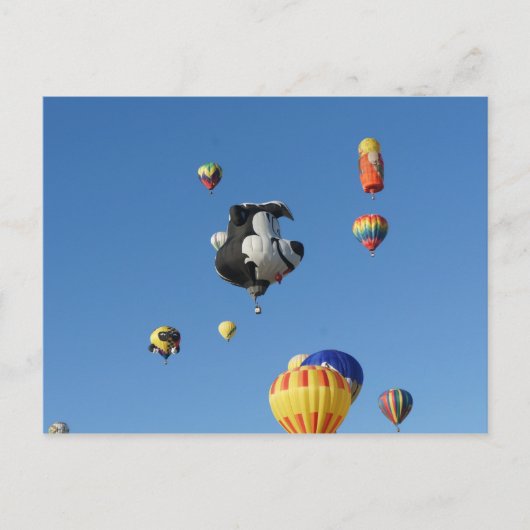 Carte Postale Flying Skunk (Devant)