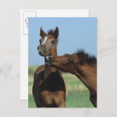 Carte Postale Foals Jouer 2 (Devant / Derrière)