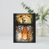 Carte Postale Focus & Courage_ (Debout devant)