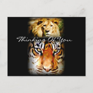 Carte Postale Focus & Courage_