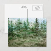 Carte postale "Fog in the Pines" (Devant / Derrière)