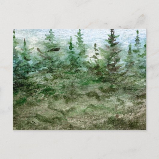 Carte postale "Fog in the Pines" (Devant)